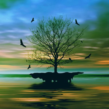 Güzel doğal manzara