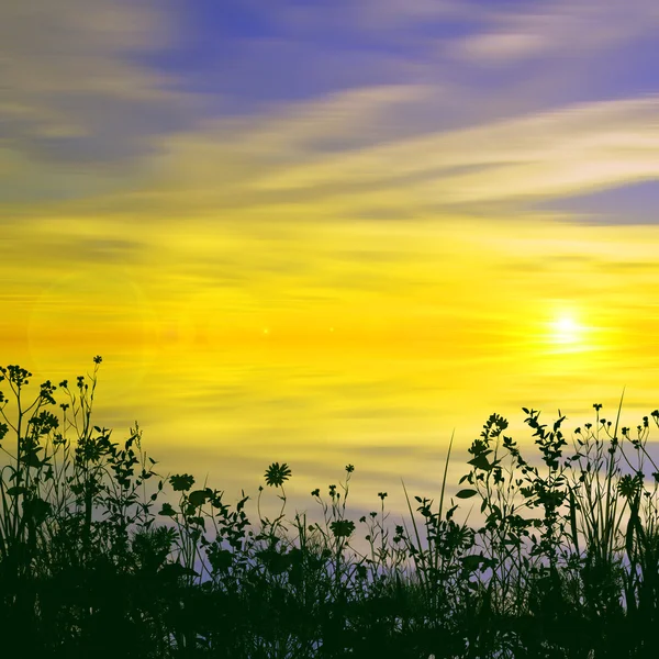 Gräset silhuett i solnedgången — Stockfoto