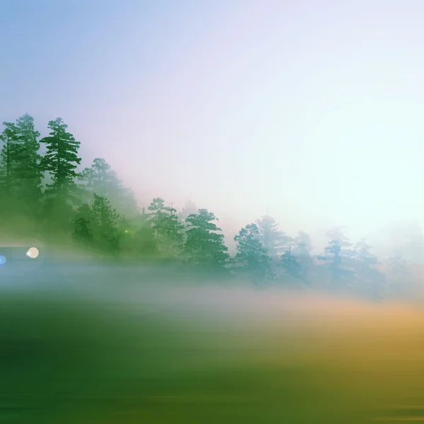 Bellissimo paesaggio nebbioso — Foto Stock