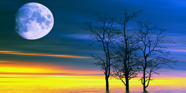 Beautiful colorful natural landscape with trees and moon