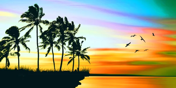 Piękny krajobraz z palmy — Zdjęcie stockowe