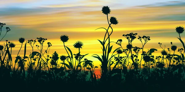 Gras silhouet bij zonsondergang — Stockfoto