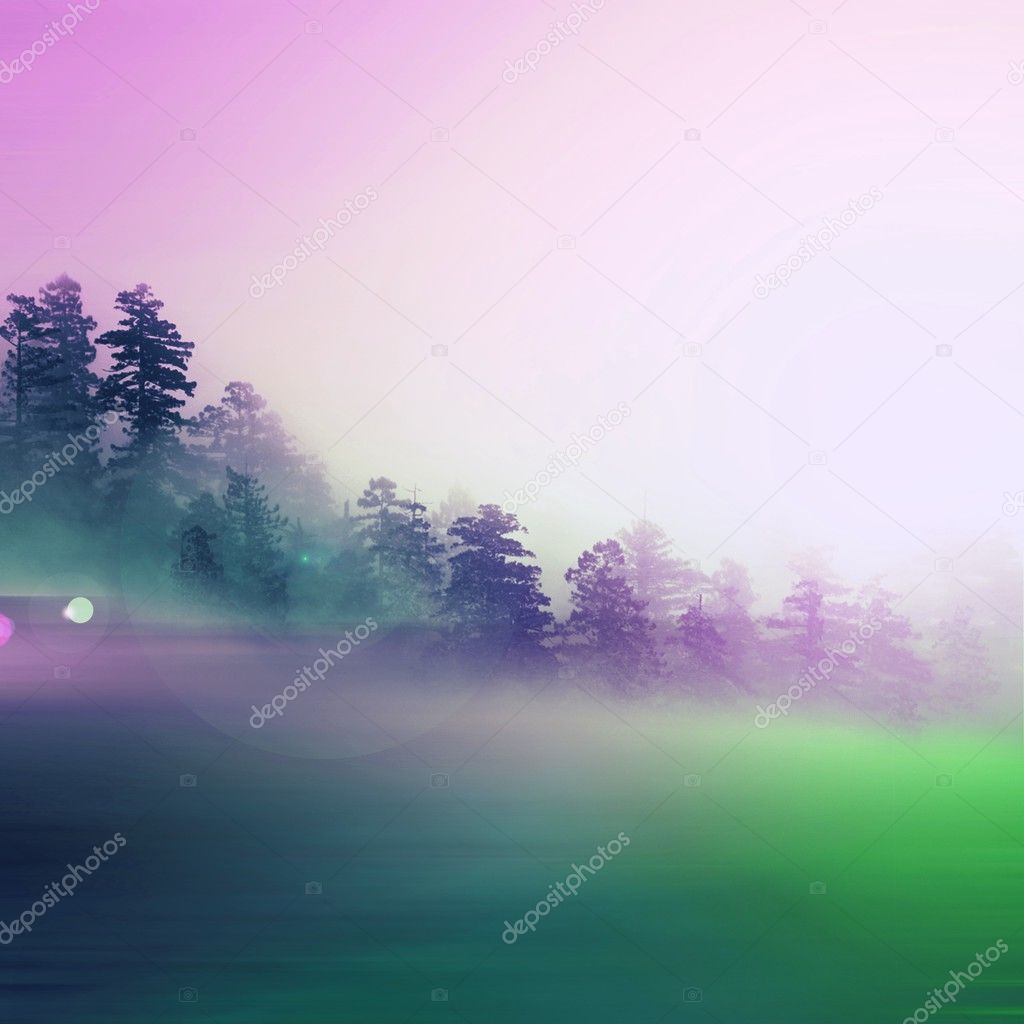 Beautiful  foggy landscape