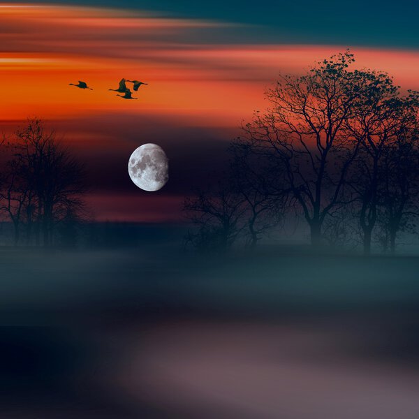 Beautiful colorful foggy landscape with trees and flying birds