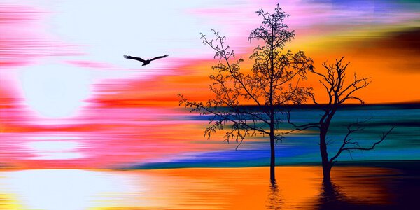 Beautiful colorful natural landscape with trees and bird at sunset