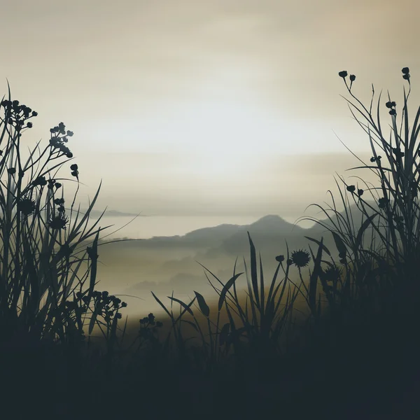 Grass  silhouette at sunset — Stock Photo, Image