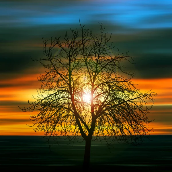 Ağaç, güzel manzara — Stok fotoğraf