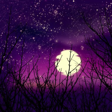 gizemli yıldızlı doğal peyzaj