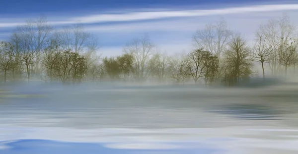 神秘的な霧の森風景 — ストック写真