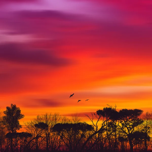 Colorato paesaggio al tramonto — Foto Stock