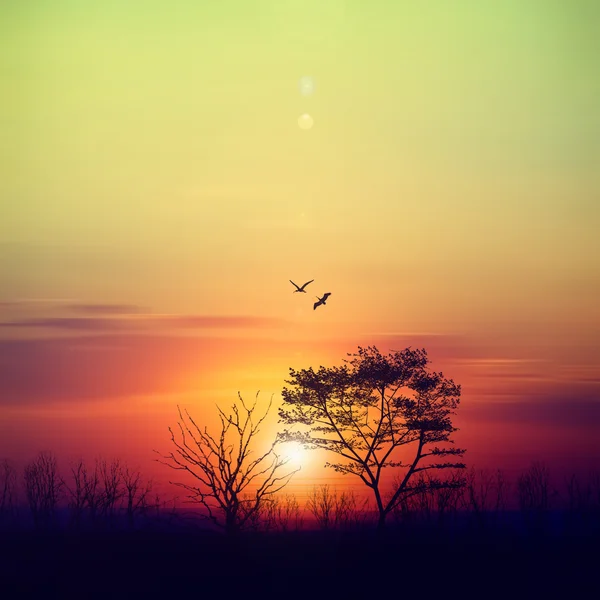 Paisagem colorido pôr do sol — Fotografia de Stock