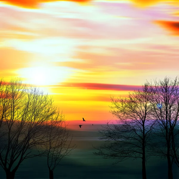 Colorful sundown landscape — Stock Photo, Image