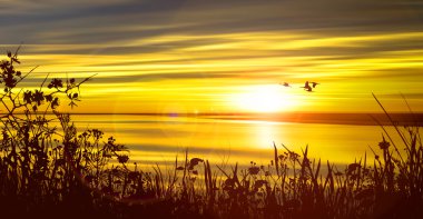 renkli gün batımından manzara