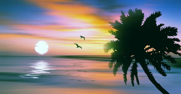 热带海滩夕阳西下 — 图库照片