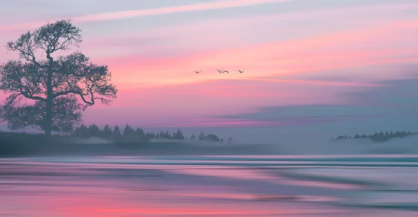 다채로운 일몰 풍경 — 스톡 사진