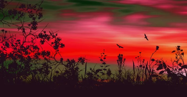 Kleurrijke zonsondergang landschap — Stockfoto