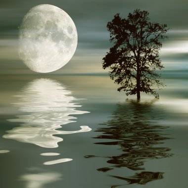 Güzel gece manzarası