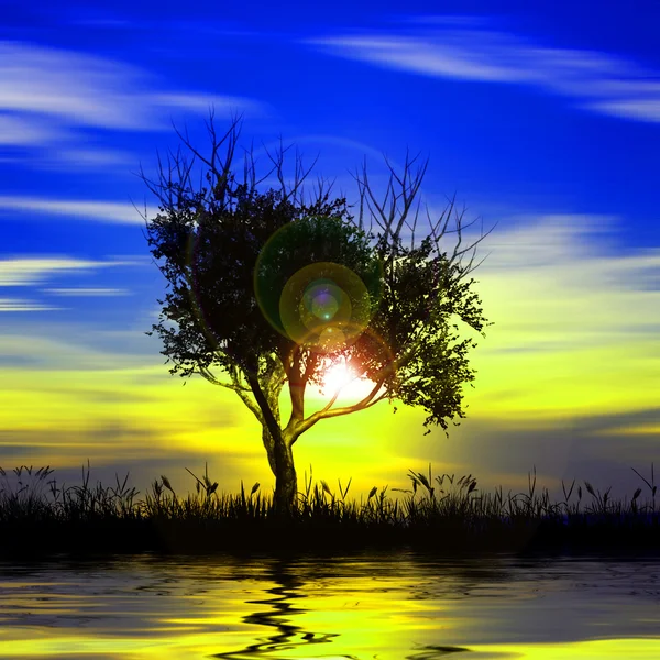 Colorful sundown landscape — Stock Photo, Image