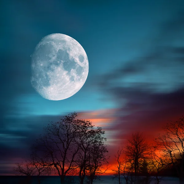सुंदर रात्री लँडस्केप — स्टॉक फोटो, इमेज
