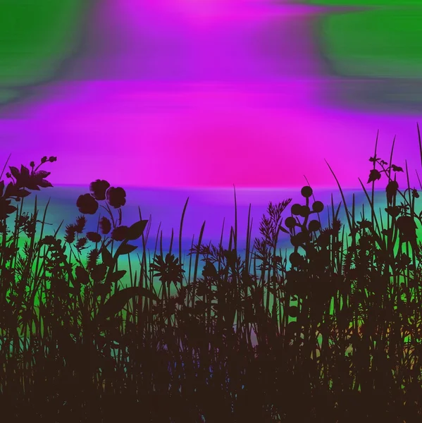 Різні рослини і барвисте небо — стокове фото