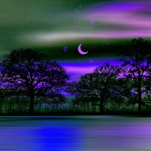 Bellissimo paesaggio notturno — Foto Stock