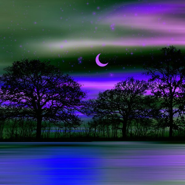 Illustration of beautiful colorful night landscape