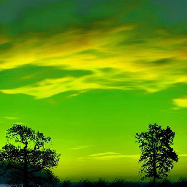 Bäume und bunter Himmel — Stockfoto