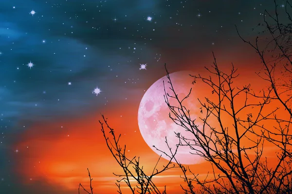 Beautiful night landscape — Stock Photo, Image