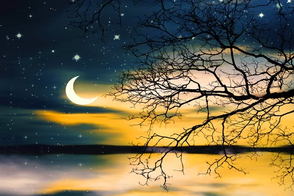 Krásná noční krajina — Stock fotografie