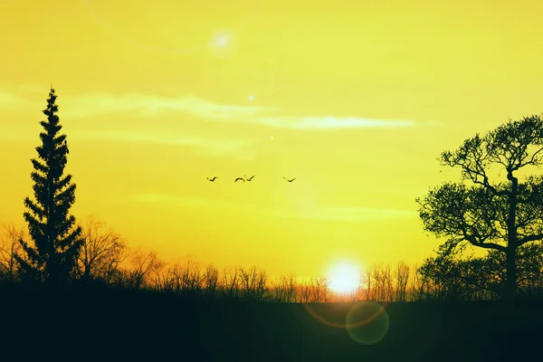 Kleurrijke zonsondergang landschap — Stockfoto