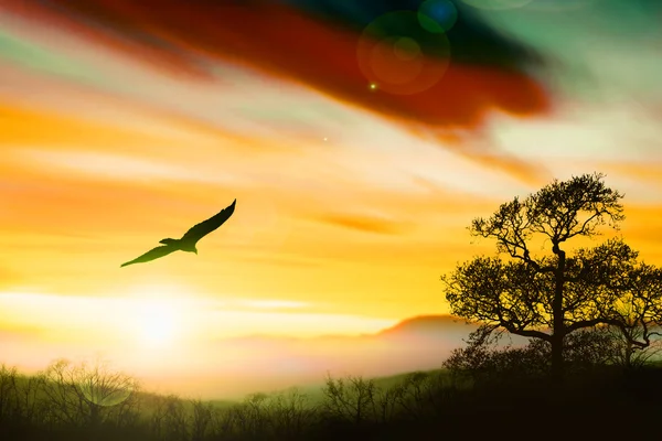 Colorful sundown landscape — Stock Photo, Image