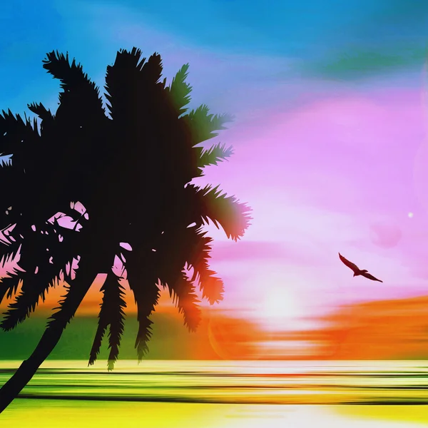 Solnedgång vid tropisk strand — Stockfoto
