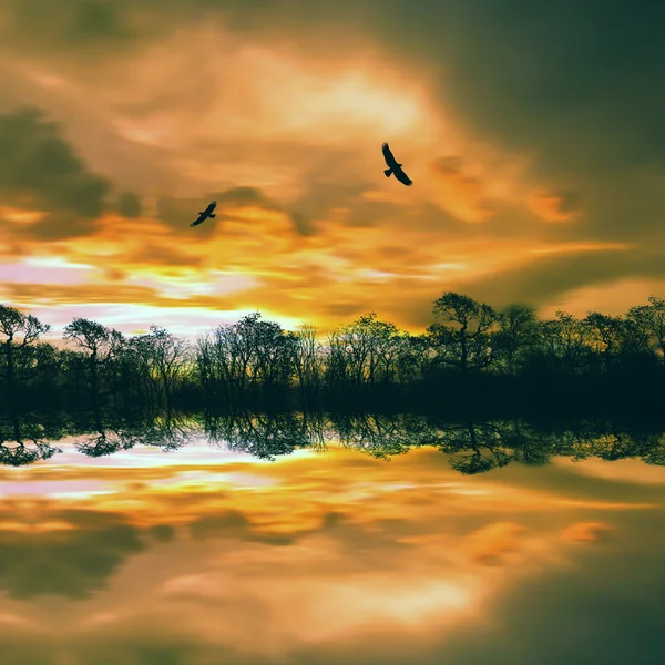 Pintoresco paisaje al atardecer —  Fotos de Stock