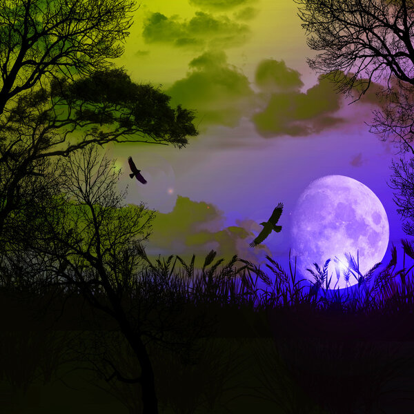 Colorful illustration of picturesque night landscape