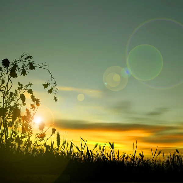 Pintoresco paisaje al atardecer — Foto de Stock