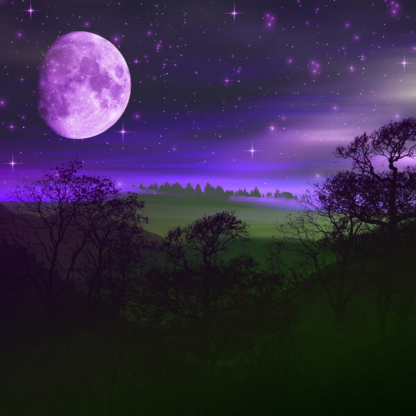 Colorful illustration of picturesque night landscape