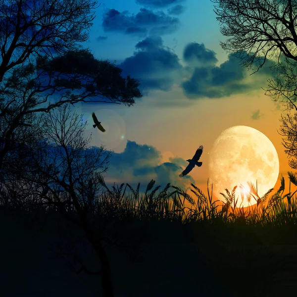 Pittoresco paesaggio notturno — Foto Stock