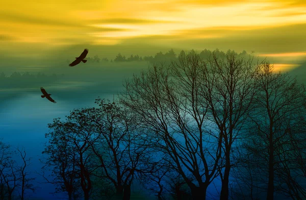 Malerische Landschaft bei Sonnenuntergang — Stockfoto