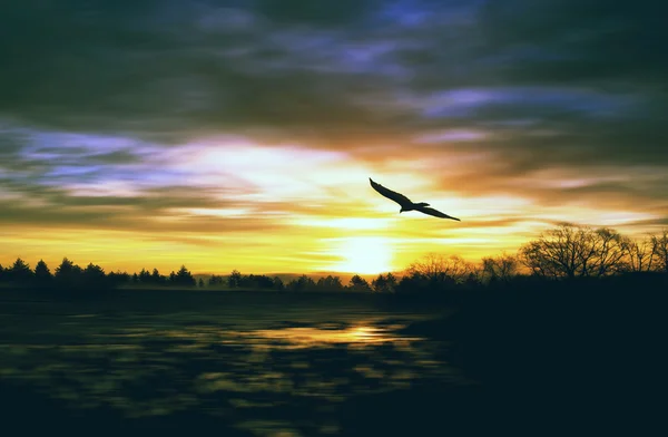 Malerische Landschaft bei Sonnenuntergang — Stockfoto