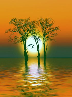 güzel günbatımı manzara