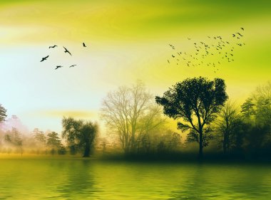 güzel günbatımı manzara