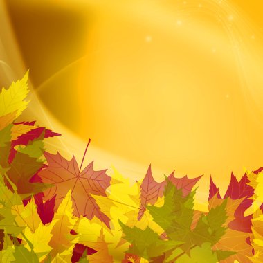 Renkli sonbahar yaprakları