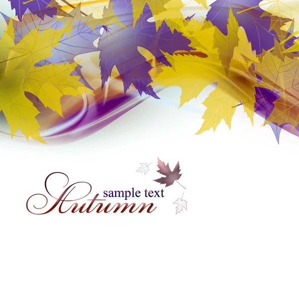 Foglie colorate autunno — Foto Stock