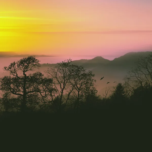 Pitoresca paisagem do pôr do sol — Fotografia de Stock