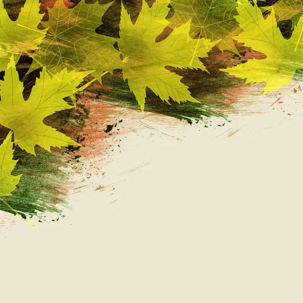 明亮的秋天的树叶背景 — 图库照片