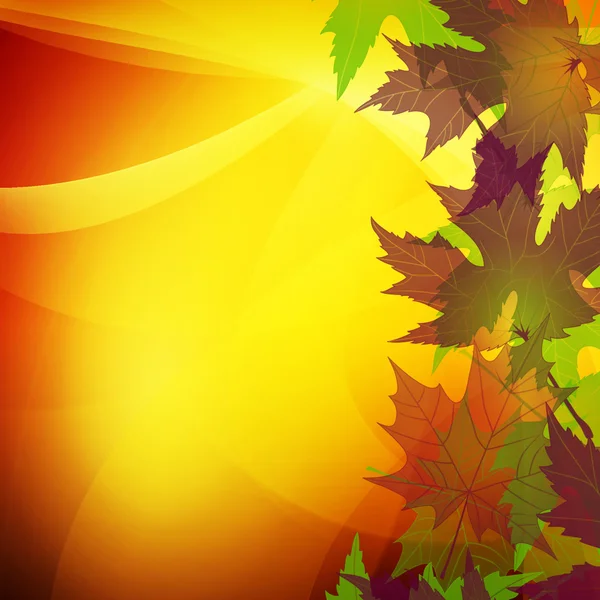 Heldere herfstbladeren achtergrond — Stockfoto