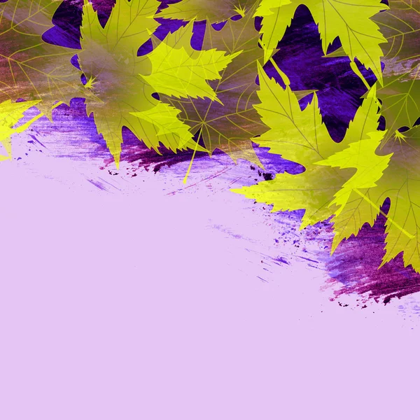 Bright Autumn Leaves Background — Stock Photo, Image