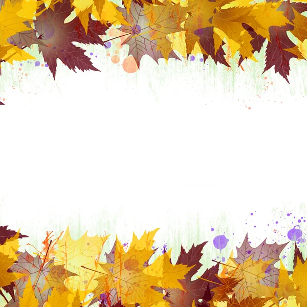 五彩缤纷的秋天树叶 — 图库照片