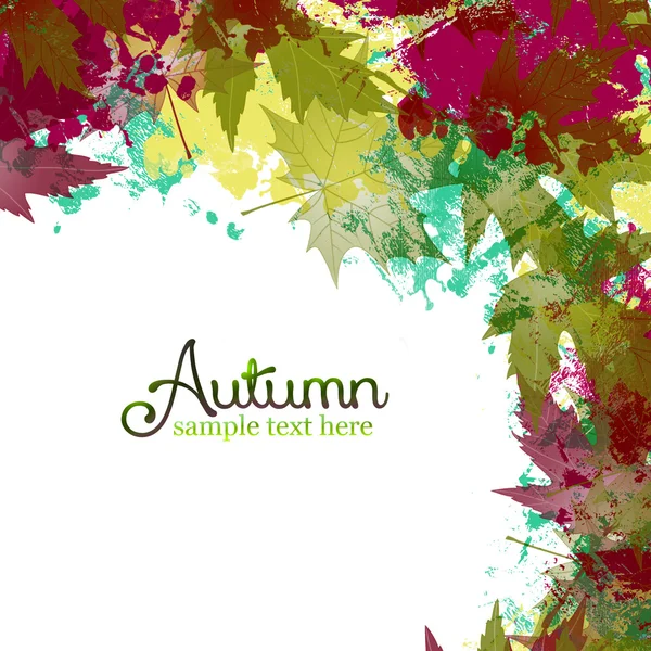 Foglie colorate autunno — Foto Stock