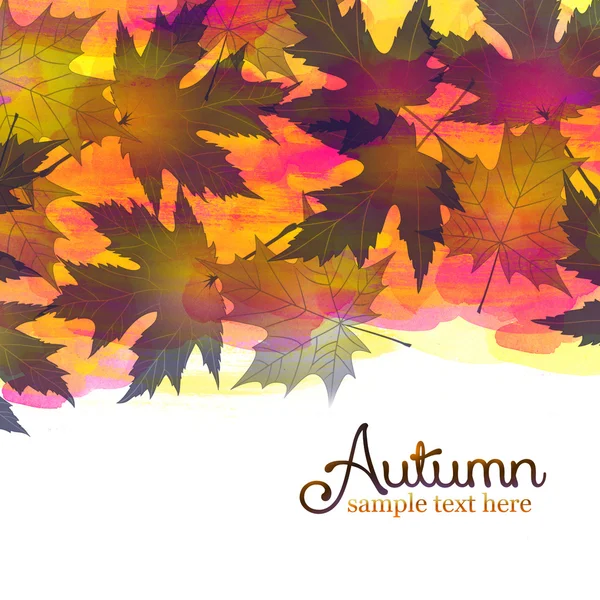 Foglie colorate autunno — Foto Stock